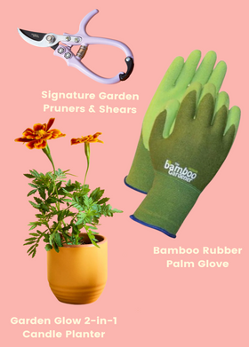 Season’s Greenings Gift Set