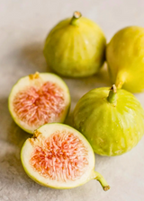 Fig 'Kadota' (Ficus carica)