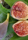Celeste Fig