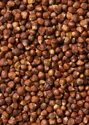 Grains of Paradise (Aframomum melegueta)