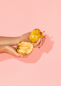 Pond Apple (Annona glabra)