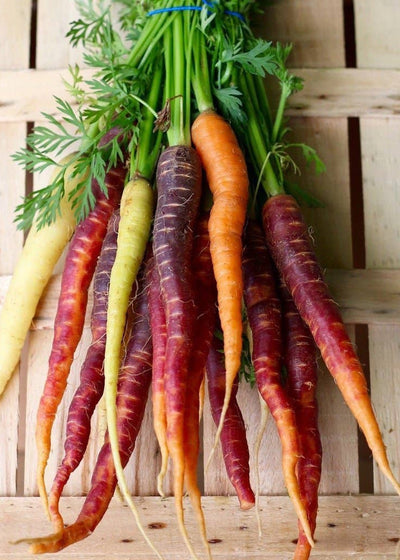 🌾 Fall Harvest AND Annual Veggie Garden Planting Guide: What’s in Season in Zones 9–10