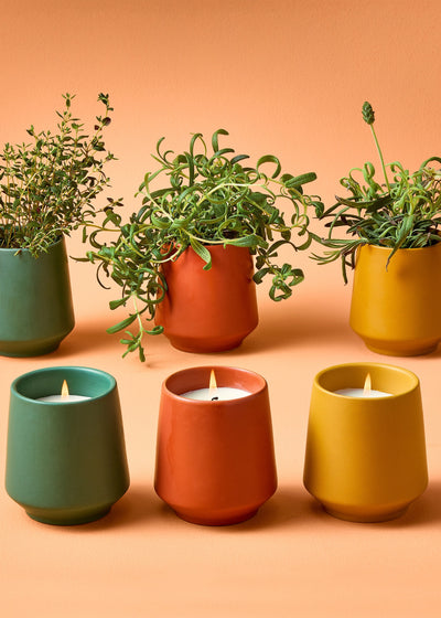 Three potted plants and three candles in green, orange, and yellow pots on a peach background